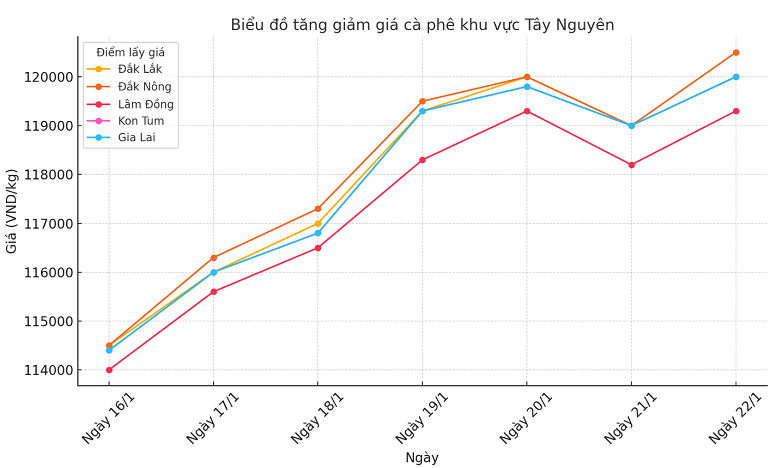 Bieu do gia ca phe hom nay_1737515283.png